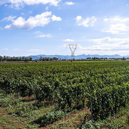 Agriturismo L'Ovile Borgo San Michele  Dış mekan fotoğraf