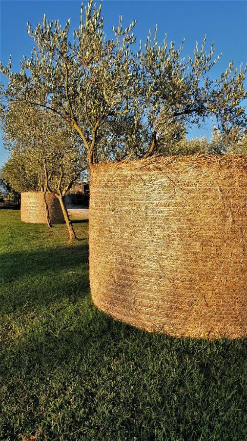 Agriturismo L'Ovile Borgo San Michele  Dış mekan fotoğraf