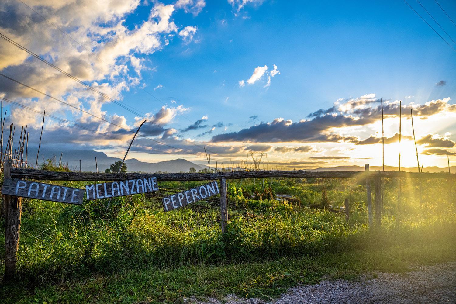 Agriturismo L'Ovile Borgo San Michele  Dış mekan fotoğraf